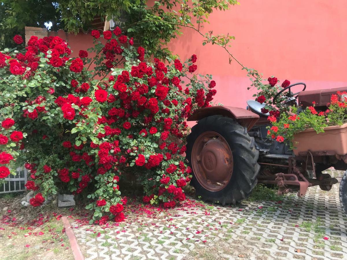 Agriturismo Mulino Bianco 로나토 외부 사진