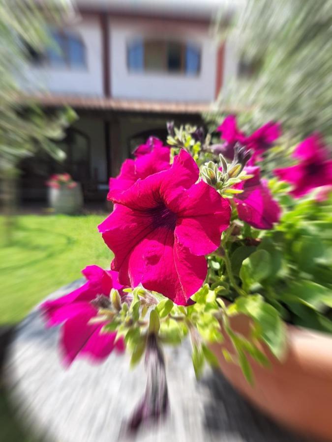 Agriturismo Mulino Bianco 로나토 외부 사진